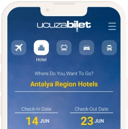 mobile application